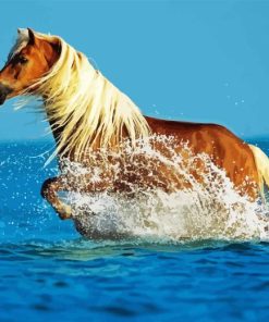 Palomino Horse In Sea Diamond Painting