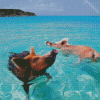 Pig In The Beach Diamond Painting