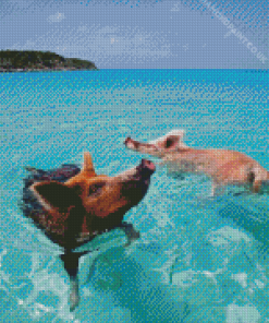 Pig In The Beach Diamond Painting