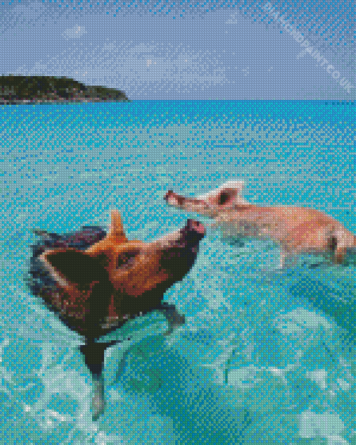 Pig In The Beach Diamond Painting