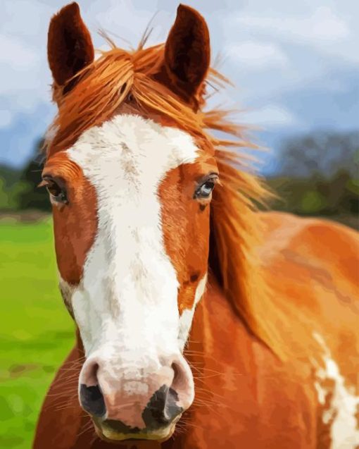 Pinto Horse Diamond Painting