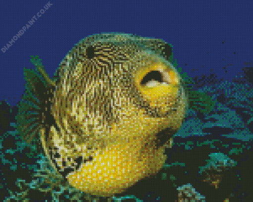 Puffer Fish Diamond Painting