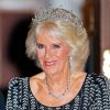 Queen Camilla Diamond Painting