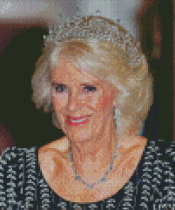 Queen Camilla Diamond Painting