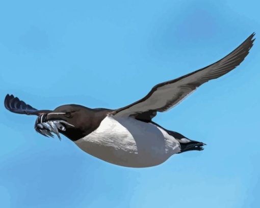 Razorbill Bird Diamond Painting