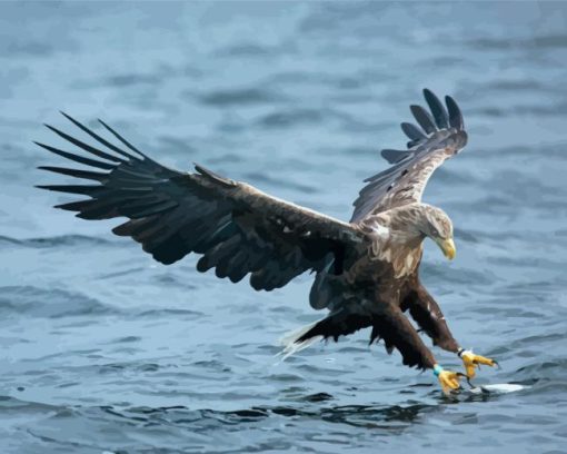 Sea Eagle Catching Fish Diamond Painting