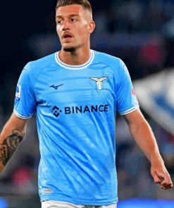 Sergej Milinkovic Savic Diamond Painting