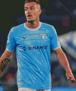 Sergej Milinkovic Savic Diamond Painting