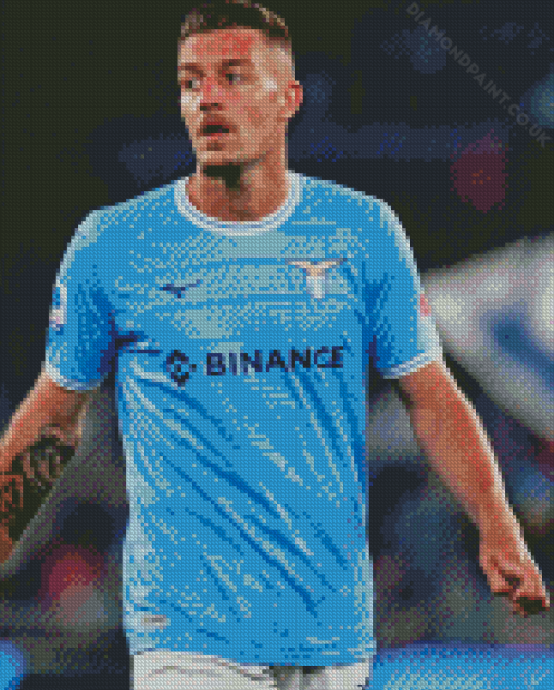 Sergej Milinkovic Savic Diamond Painting