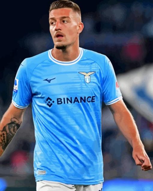 Sergej Milinkovic Savic Diamond Painting