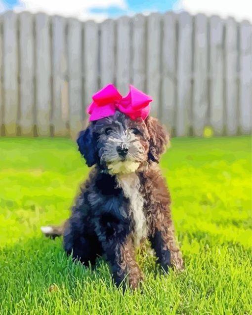 Sheepadoodle Diamond Painting