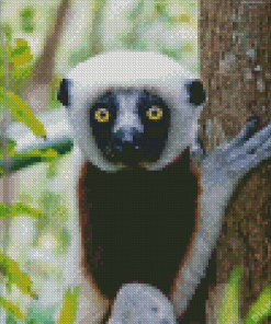 Sifaka Diamond Painting