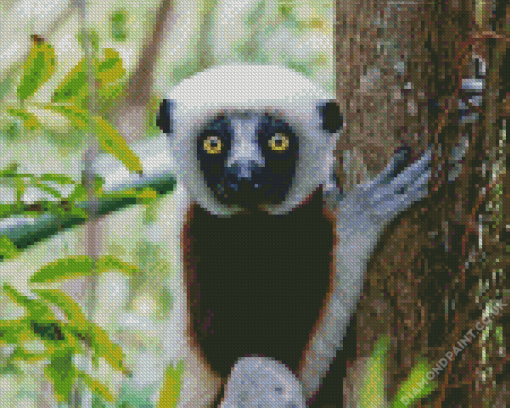 Sifaka Diamond Painting