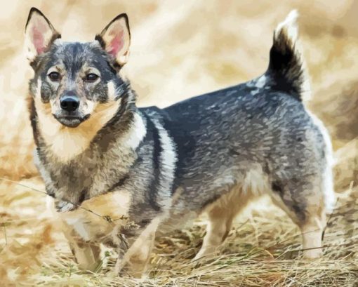 Swedis Vallhund Diamond Painting