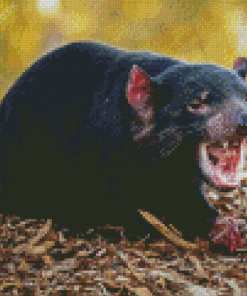 Tasmanian Devil Diamond Painting