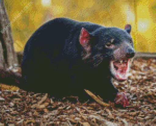 Tasmanian Devil Diamond Painting