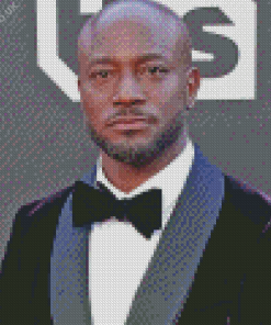 Taye Diggs Diamond Painting