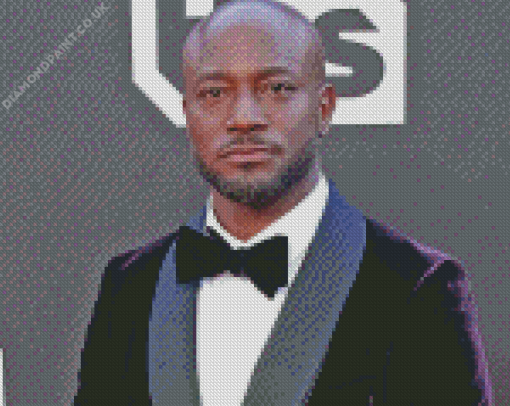 Taye Diggs Diamond Painting