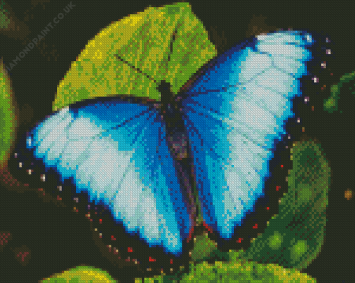 Teal Butterfly Diamond Painting