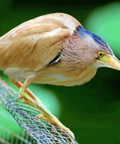 Yellow Bittern Diamond Painting