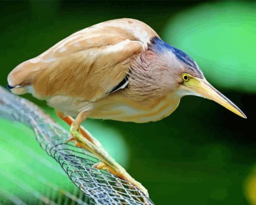 Yellow Bittern Diamond Painting