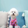 Bichon Wearing Pajamas Diamond Painting