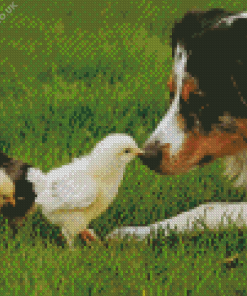 Chicks And Dog Diamond Painting