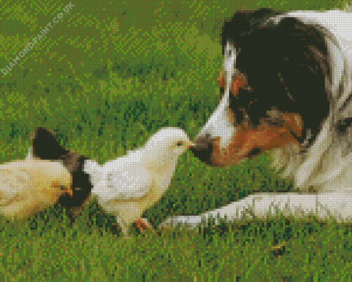 Chicks And Dog Diamond Painting