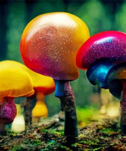 Colorful Mushroom Diamond Painting