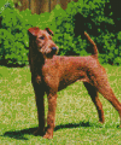 Irish Terrier Diamond Painting