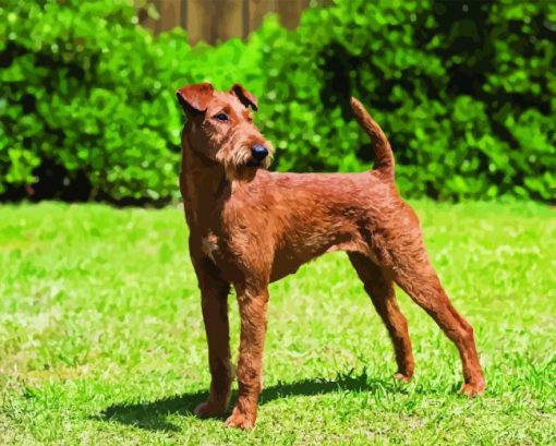 Irish Terrier Diamond Painting