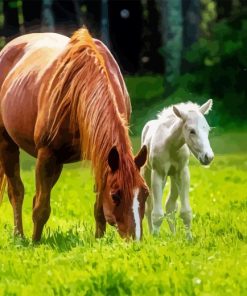 Mare And Foal Diamond Painting