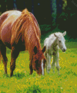 Mare And Foal Diamond Painting