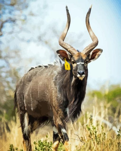 Nyala Diamond Painting