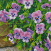 Pansy Flower Diamond Painting