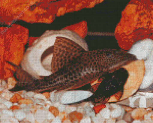 Pleco Fish Diamond Painting