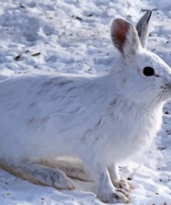 Snowshoe Hare Diamond Painting