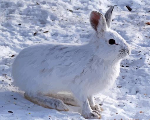 Snowshoe Hare Diamond Painting