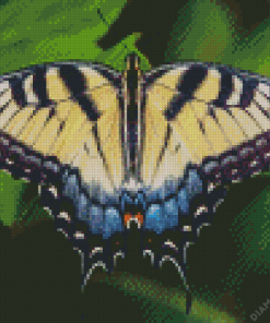 Tiger Swallowtail Butterfly Diamond Painting