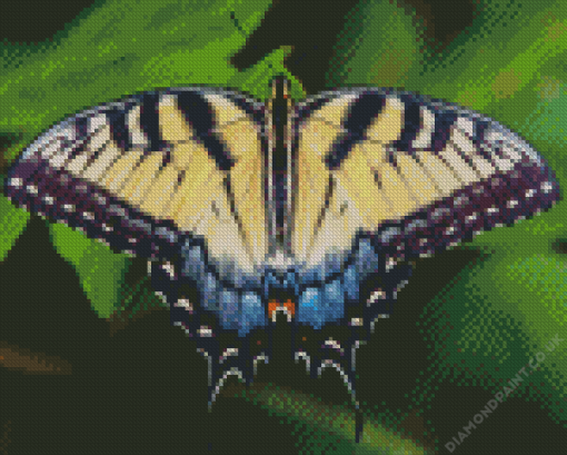 Tiger Swallowtail Butterfly Diamond Painting