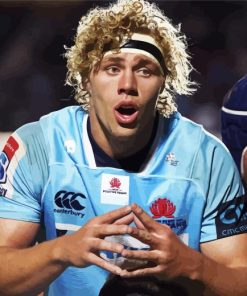 Waratahs Ned Hanigan Diamond Painting