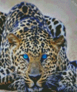 Wild Blue Eyes Jaguar Diamond Painting