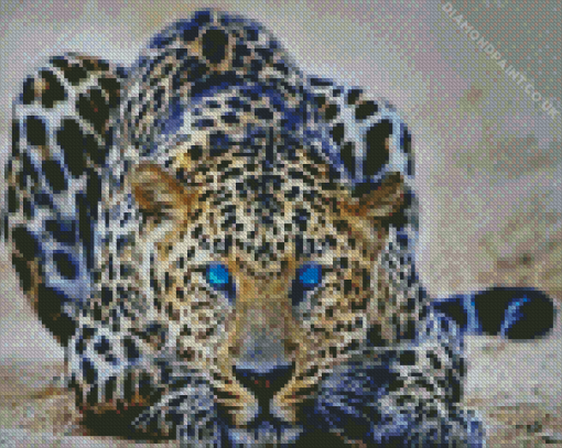 Wild Blue Eyes Jaguar Diamond Painting