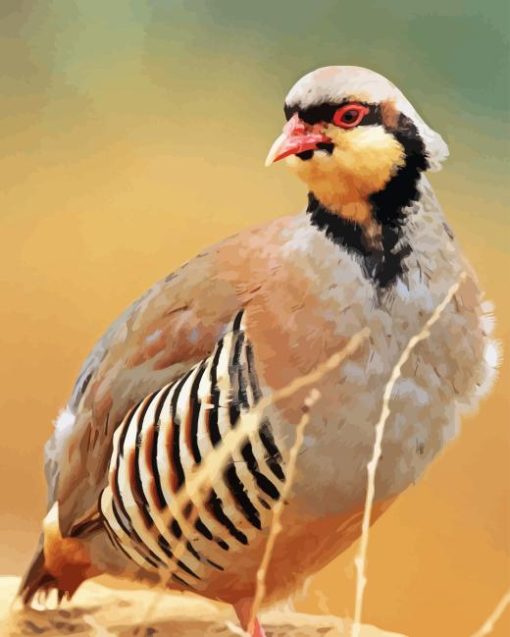 Chukar Diamond Painting