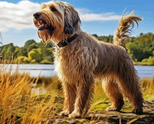 Otterhound Dog Diamond Painting