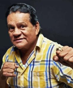 Roberto Duran Diamond Painting