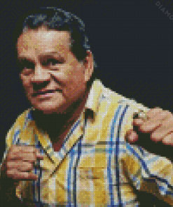 Roberto Duran Diamond Painting