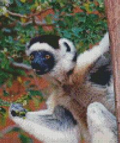 Sifaka On Tree Diamond Painting