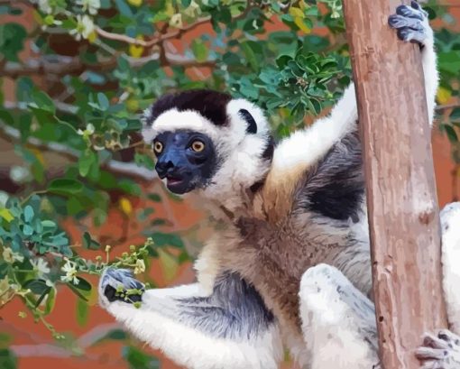 Sifaka On Tree Diamond Painting