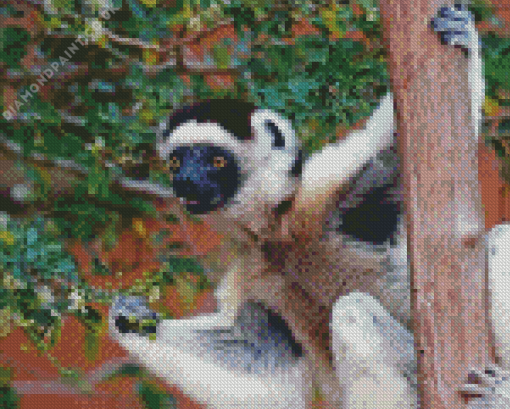 Sifaka On Tree Diamond Painting